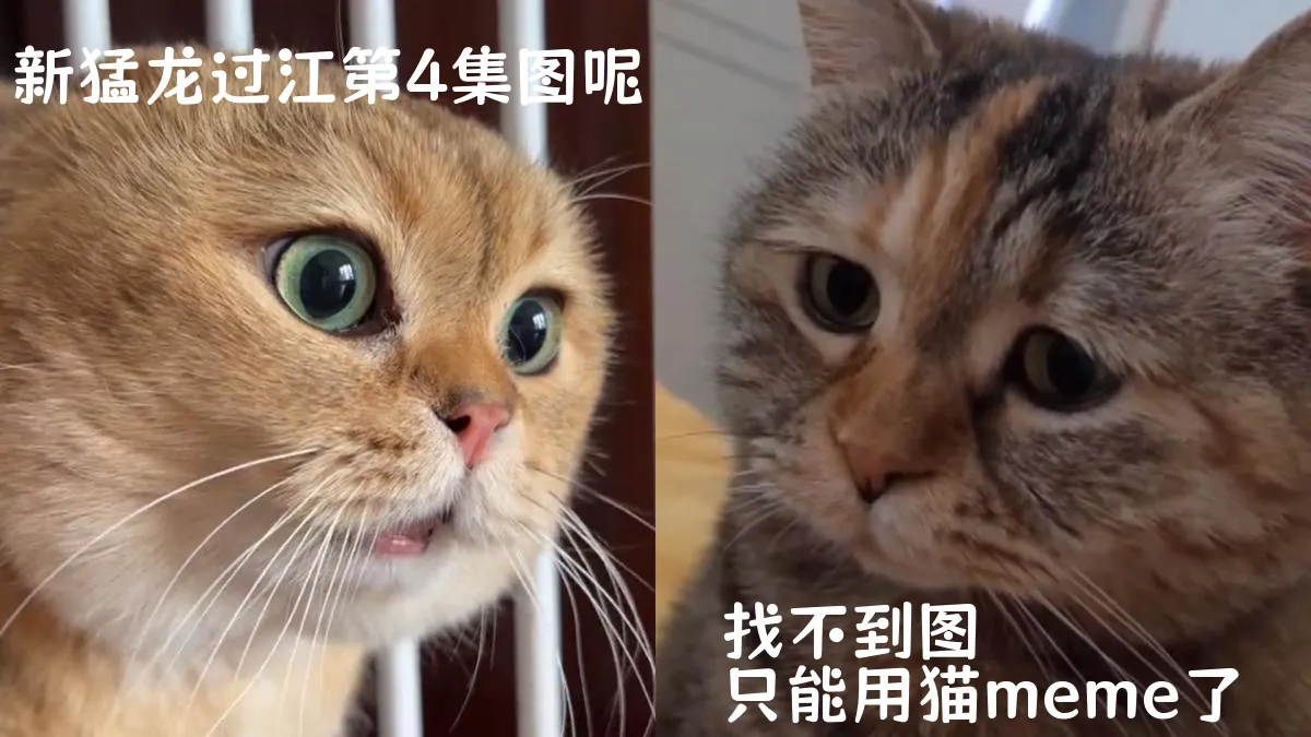 新猛龍過江第4集分集劇情