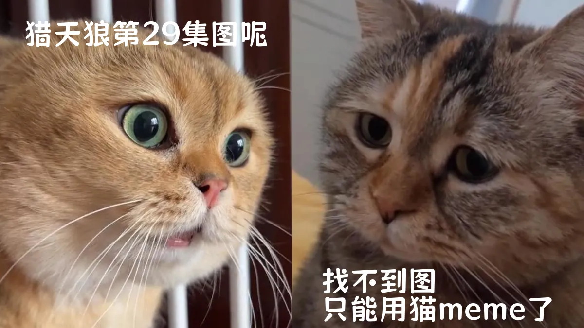 猎天狼第29集分集剧情