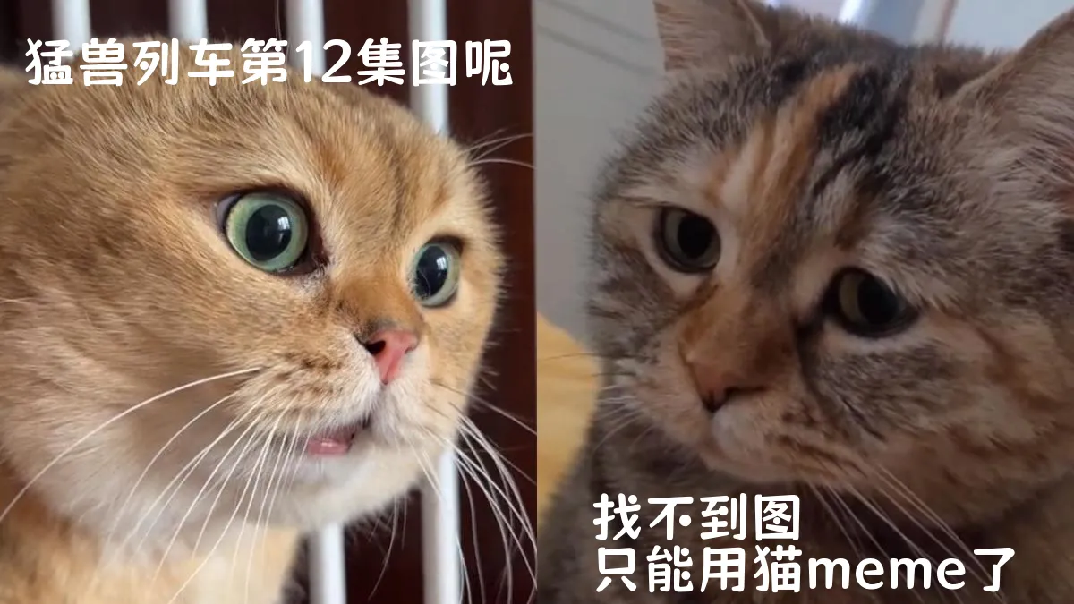 猛兽列车第12集分集剧情