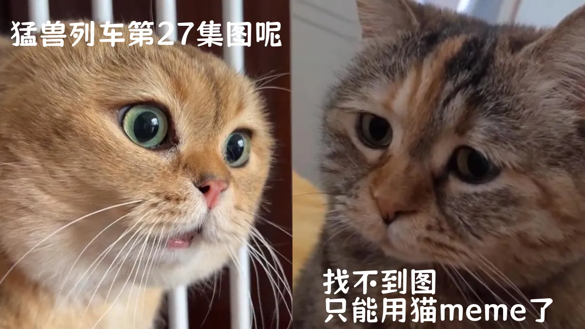 猛兽列车第27集分集剧情