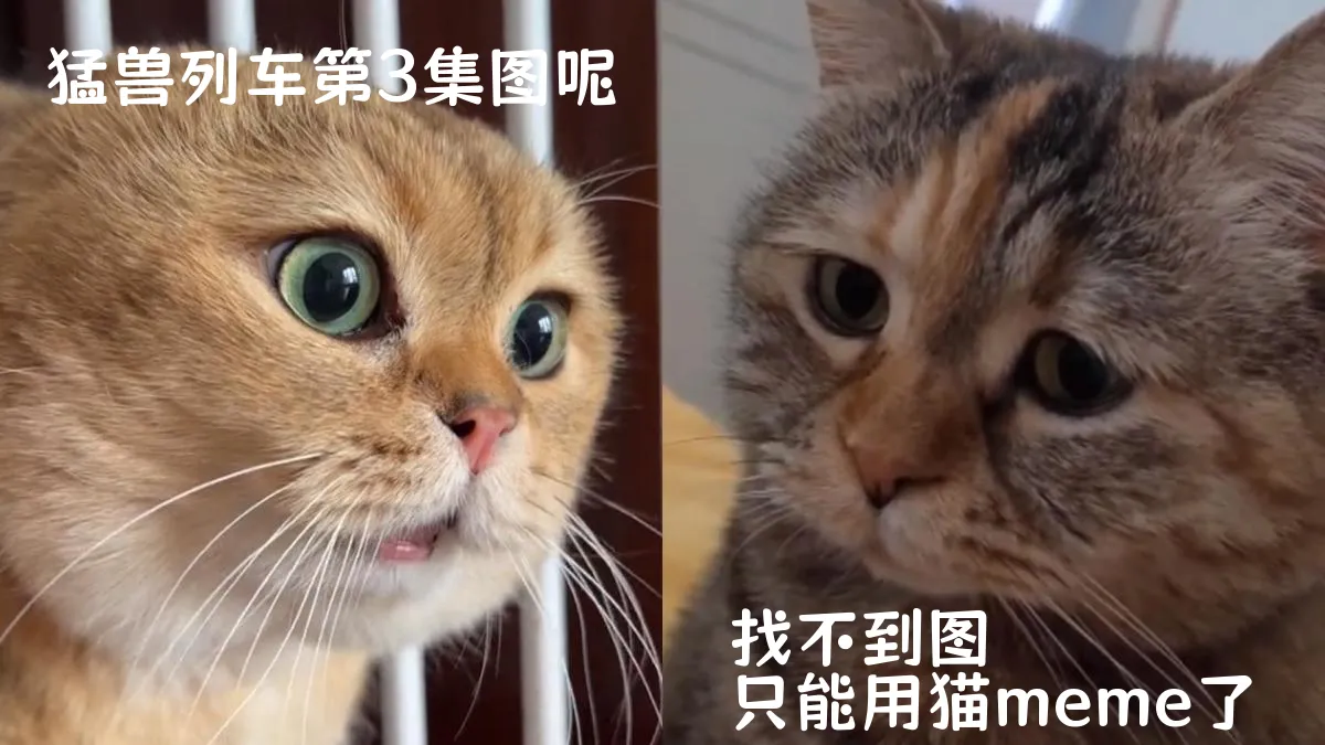 猛獸列車第3集分集劇情