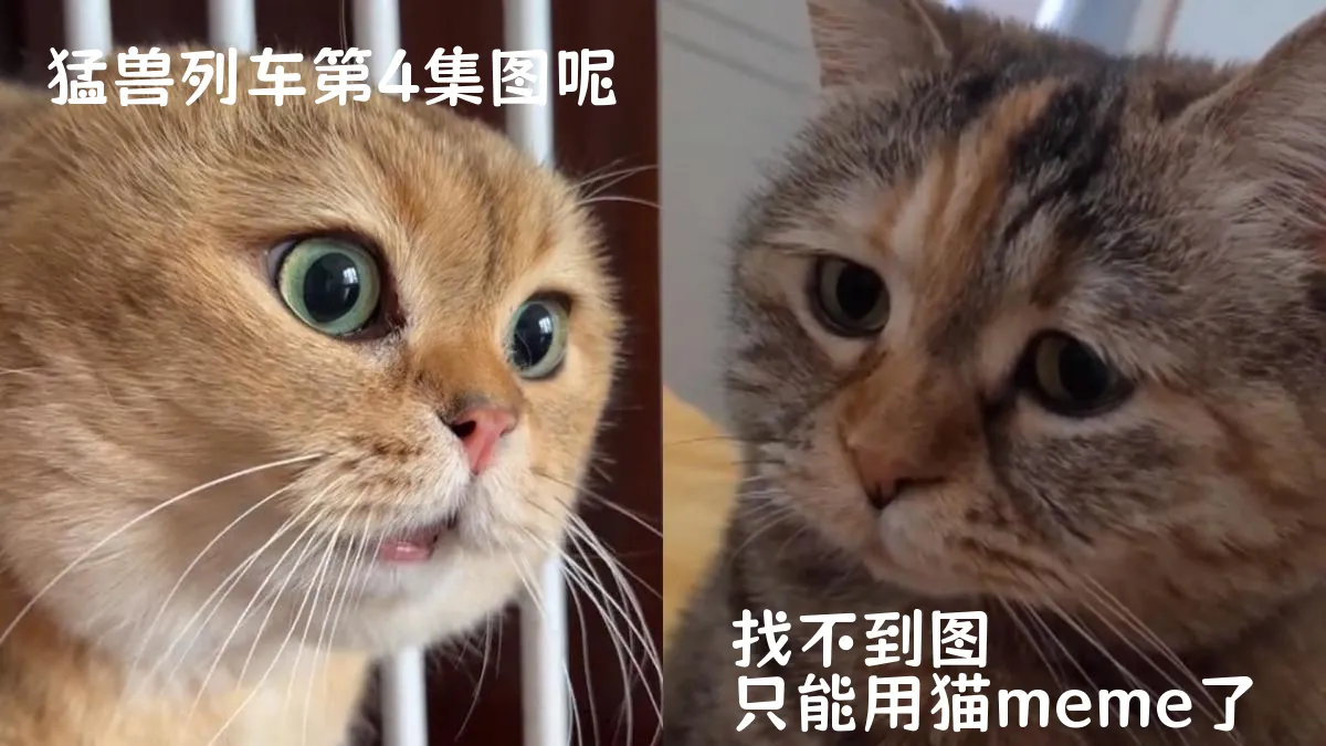 猛獸列車第4集分集劇情